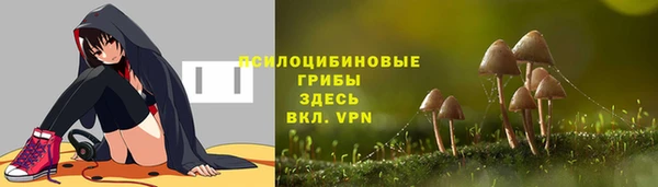 кокаин Гусь-Хрустальный
