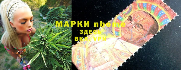 таблы Гусев