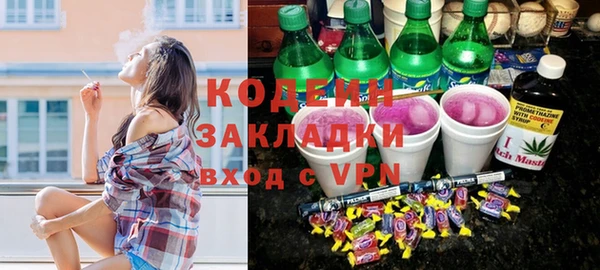 таблы Гусев