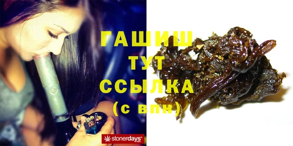 таблы Гусев