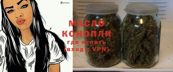 таблы Гусев